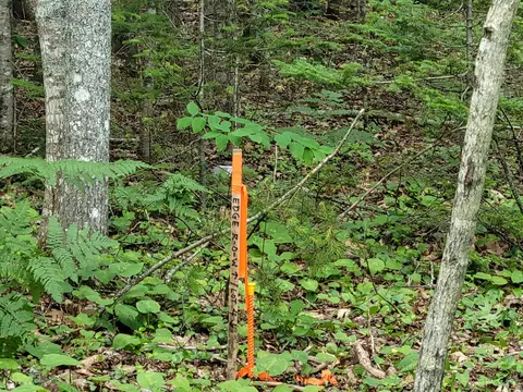 12 Matty Way, Franklin, ME 04634