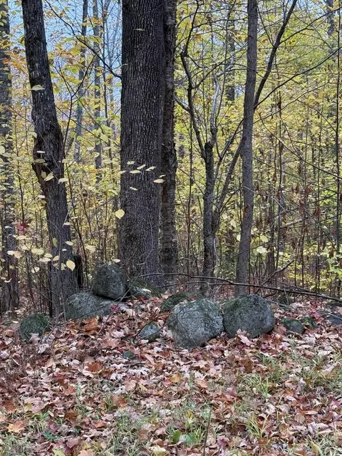 lot005 Greenwood Brook Rd, Industry, ME 04938