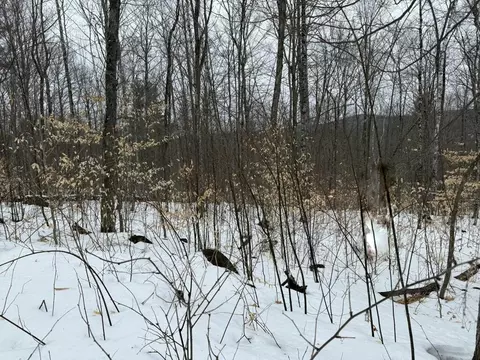 lot005 Greenwood Brook Rd, Industry, ME 04938