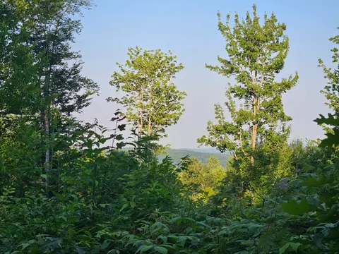 2 W Mountain View Estates West Dr, Temple, ME 04984