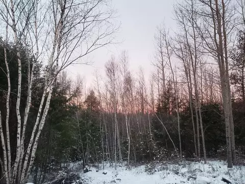 lot Apt Old Commonwealth, Enfield, ME 04493