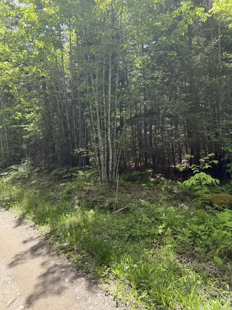 lot Apt Old Commonwealth, Enfield, ME 04493 photo 15
