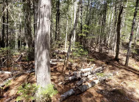 lot Apt Old Commonwealth, Enfield, ME 04493 photo 2