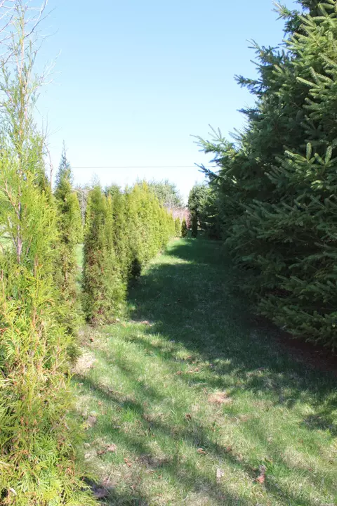 Other - 759 Brooks Rd, Knox, ME 04986 photo 7 of 23