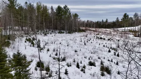 151 N Guilford Rd, Monson, ME 04464