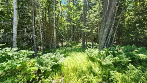 0 Sebasco Rd #0, Phippsburg, ME 04562 photo 11