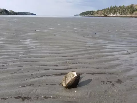 0 Sebasco Rd #0, Phippsburg, ME 04562 photo 18