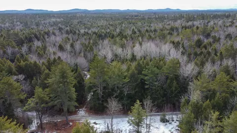 3 Pickerel Pond Road, Greenfield Twp, ME 04418