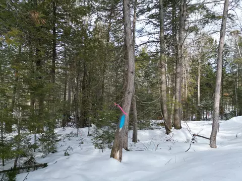 12 Falcon Rdg, Lincoln, ME 04457