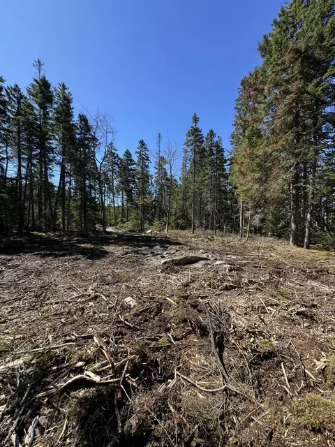 12 Jamestown Rd, Vinalhaven, ME 04863 photo 16