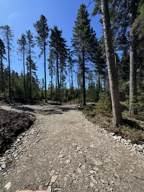 12 Jamestown Rd, Vinalhaven, ME 04863 photo 5
