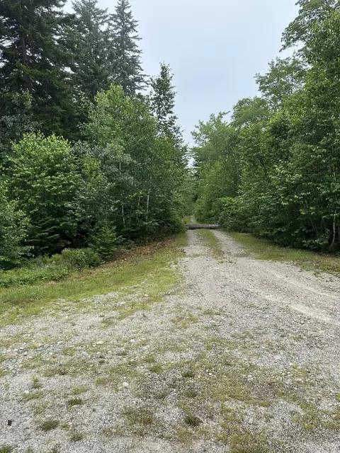 lot44 Estates Rd, Steuben, ME 04680 photo 3