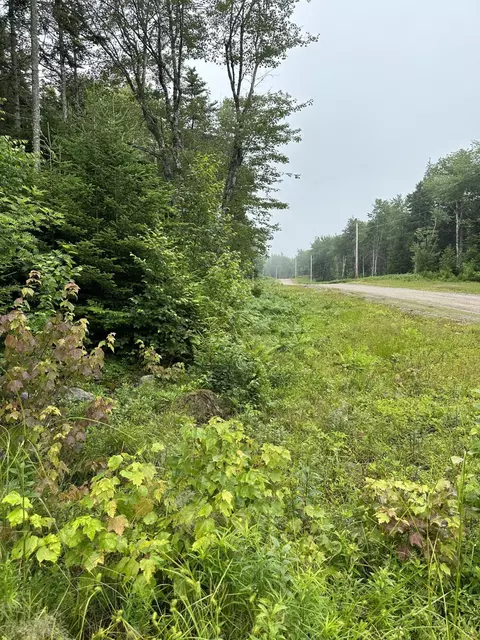 lot44 Estates Rd, Steuben, ME 04680 photo 2