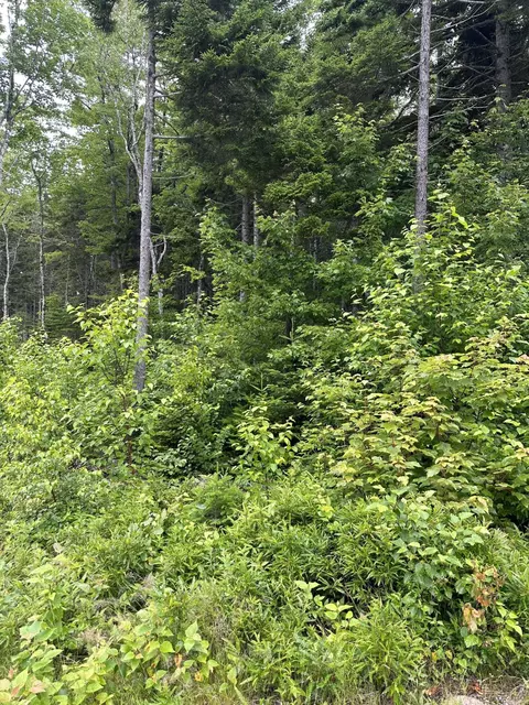 lot44 Estates Rd, Steuben, ME 04680