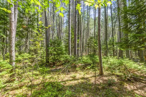 81 B Red Pine Ln, Eustis, ME 04936 photo 9