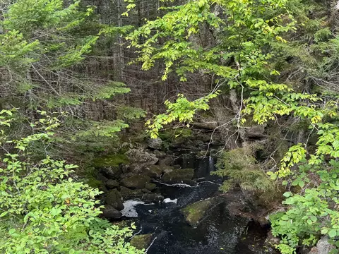 lot6 Black Cow Meadow Rd, Northfield, ME 04654