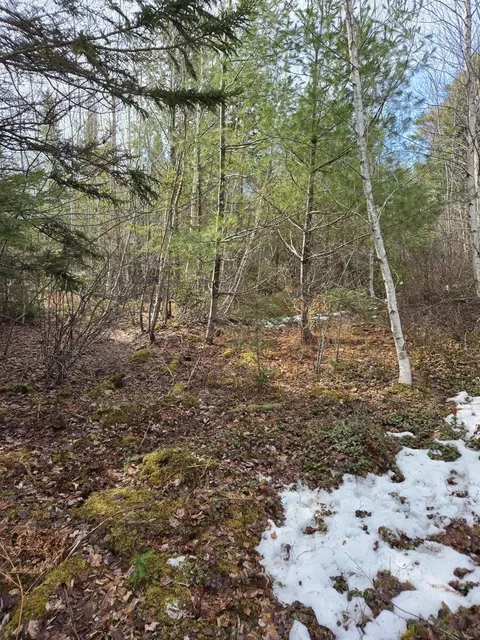 0 Northfield Rd, Marshfield, ME 04652