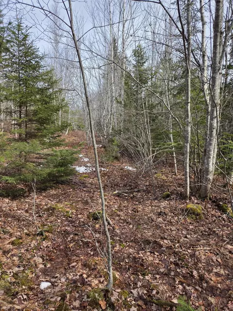 0 Lots 34 Northfield Rd, Marshfield, ME 04654