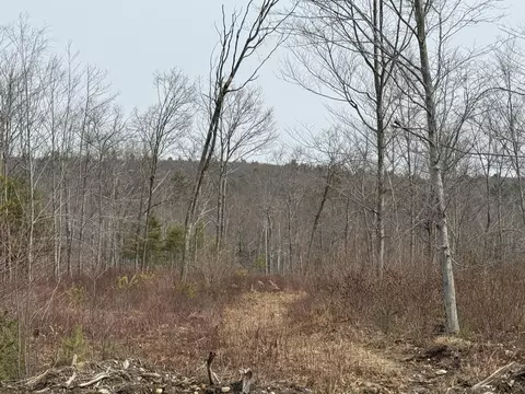 lot A8 West Rd, Waterboro, ME 04087