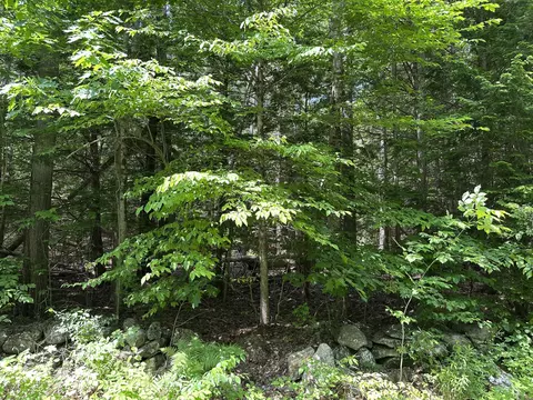 0 Dingley Rd, Bowdoinham, ME 04008