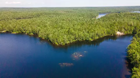 lot23 Northfield Rd, Marshfield, ME 04654