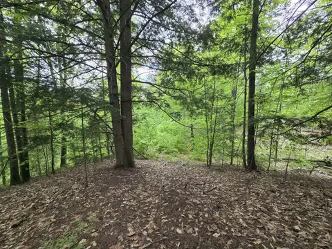lot10 C Staples Pond Rd, Temple, ME 04984