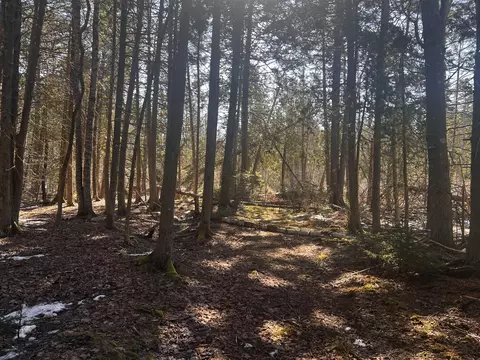 1148 Cape Rosier Rd, Brooksville, ME 04617