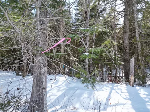 20 Twin Springs Ln, Lincoln, ME 04457