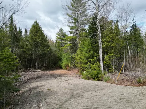 20 Twin Springs Ln, Lincoln, ME 04457