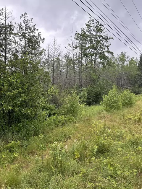 lot60 Tenan Ln, Cherryfield, ME 04622