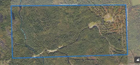 005-005 Grendell Rd, Chapman, ME 04757