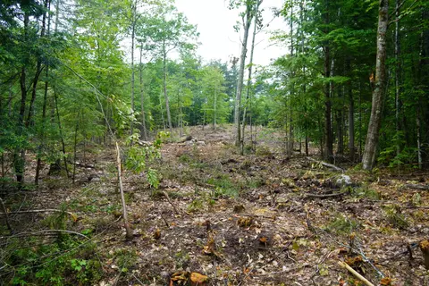 89 Chapman Rd, Harrison, ME 04040