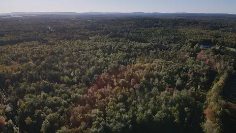 lot81 Fuller Rd, Hermon, ME 04401 photo 10
