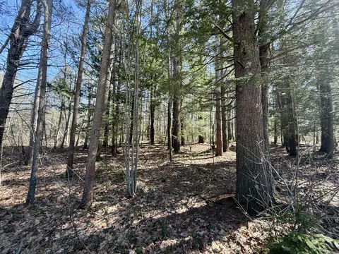 lot31 Pequawket Trl, Hiram, ME 04041