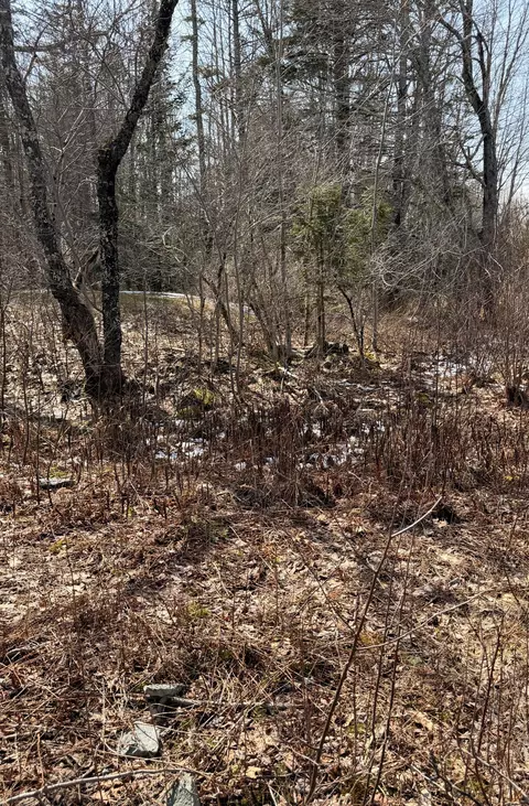 lot9 1 Christian Ridge Rd, Ellsworth, ME 04605
