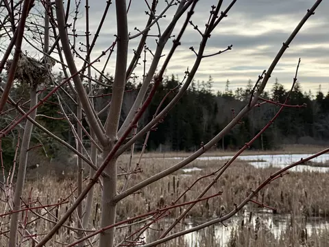 lot Apt 10 Ridge Rd, Saint George, ME 04860