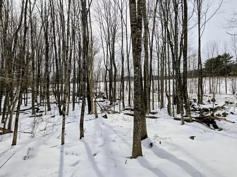 lot26 Canton Mountain Rd, Jay, ME 04239
