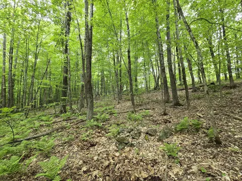lot26 Canton Mountain Rd, Jay, ME 04239