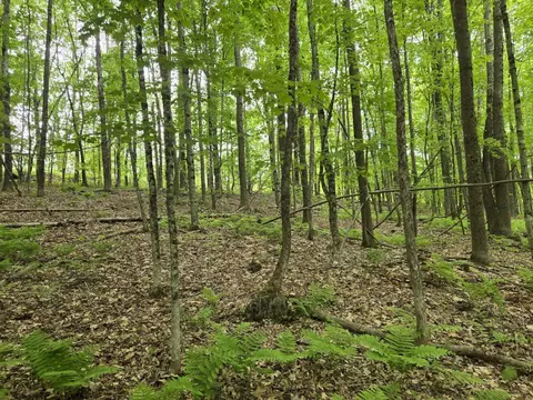 lot26 Canton Mountain Rd, Jay, ME 04239