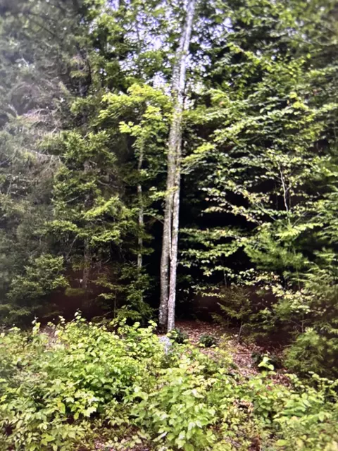 163 Sandy Acres Dr, Sullivan, ME 04664