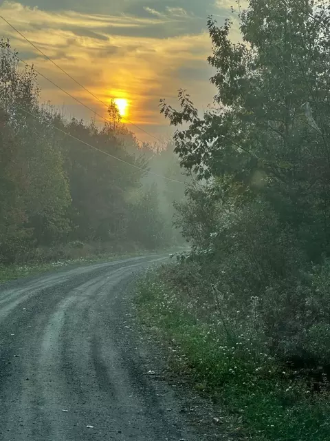 260 Nyes Corner Rd, Saint Albans, ME 04971