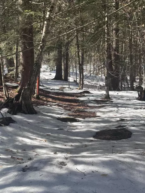0 Lakeside Dr, Windham, ME 04062