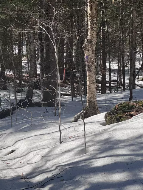 lot Apt 10 Goose Pond Rd, Windham, ME 04062 photo 3