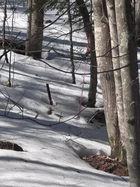 lot Apt 10 Goose Pond Rd, Windham, ME 04062 photo 9