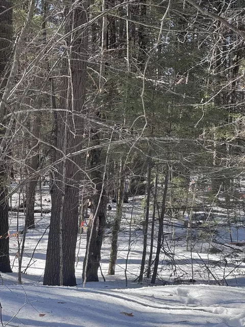 lot Apt 10 Goose Pond Rd, Windham, ME 04062 photo 4
