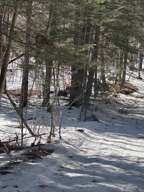 lot Apt 10 Goose Pond Rd, Windham, ME 04062 photo 2