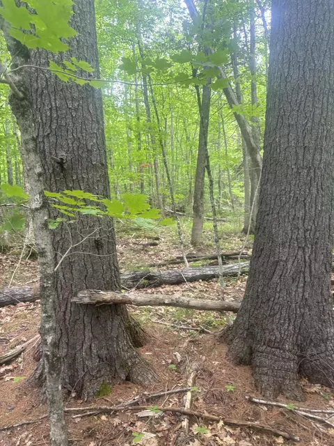 0000 Stream Rd, Moscow, ME 04920