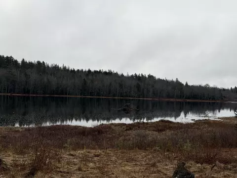 0 Guzzle Rd, Gouldsboro, ME 04607