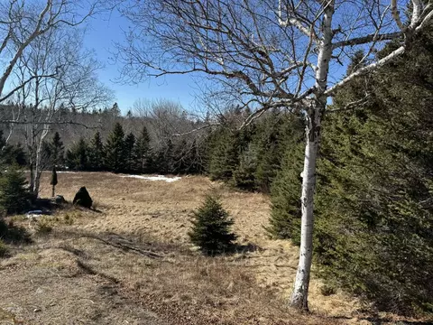 17 Basin Road #LOT 24, Addison, ME 04606 photo 4