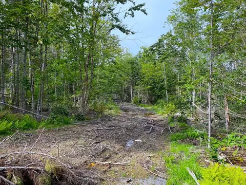 lot128 C Love Lake Rd, Crawford, ME 04694